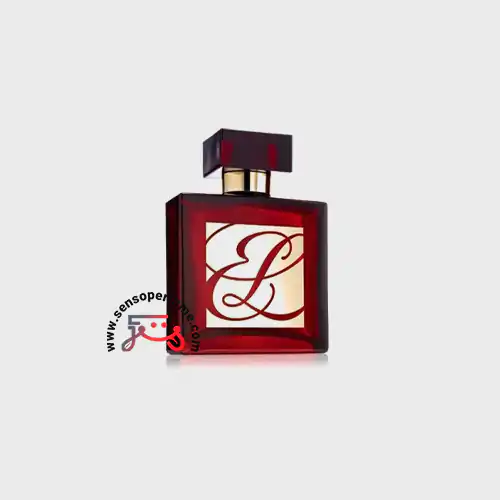 عطر ادکلن استی لودر امبر میستیک